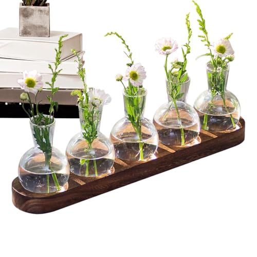 Plant Propagation Stand | Hydroponic Vases for Indoor Plants,Hydroponics Glass Vase Transparent Bud Vases with Wooden Tray, Plant Terrarium Propagation Station,