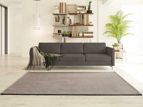 ATTICGO Alfombra Lavable de Pelo Corto Coraline   Rectangular   Fibra sintética   Alfombra para salón y Dormitorio, de Estilo Liso   Visón Liso   60x100 cm