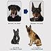 SKUDA Hundeohr-Aufstehhilfe | Fixiertes Dobermann-Hundeohr-Posting-Kit | Unterstützt das vertikale Werkzeug zur Ohrkorrektur für Dobermann, Samojeden und Deutschen Schäferhund
