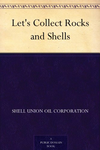 Let's Collect Rocks and Shells