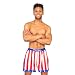 Rocky Balboa Apollo Movie Boxing American Flag Shorts (Large)