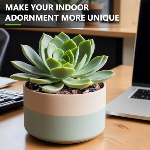 Image of 5lbs Mix Horticultural Lava Rocks for Plants, 1 /5 Inch Potting Soil Amendment for Succulents, Cacti, Bonsai, Decorative Gravel Plant Drainage Volcanic for Terrarium, Top Dressing