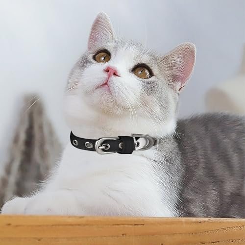 Collier pour chien style classique noir avec boucle métallique - 6