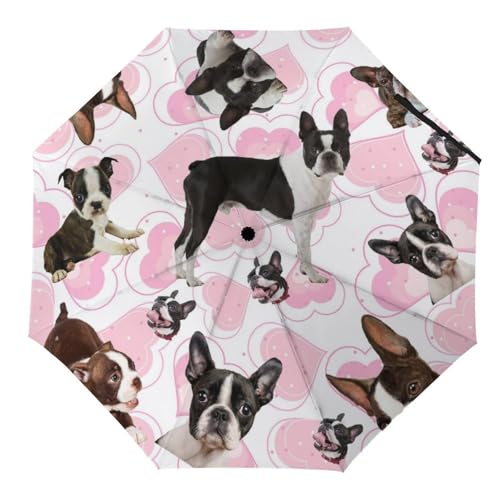 Parapluie pliable Boston Terrier automatique compact et résistant au vent