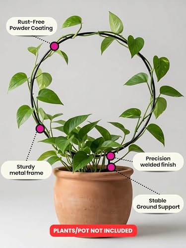 Image of Bombay Greens Round Metal Trellis Climbers Support Stake for Plants | Iron Garden Money Plant Climbers & Plant Support Stick | Rust Resistant Plant Support Ring for Indoor & Outdoor Garden - Pack of 2