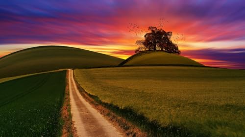 Letters from Quotidia 2023 Podcast 19