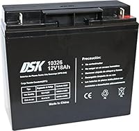 DSK Wiederaufladbare Batterie 12V 18Ah – Universaladapter F1/F2 inklusive – Maße 181x167x77 mm – Für USV, Alarmanlagen und elektrische Fahrzeuge