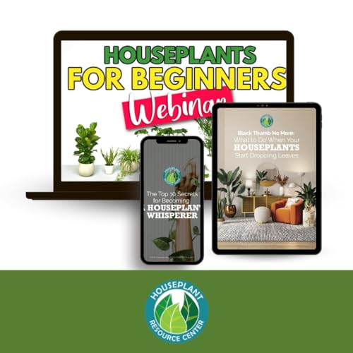 Houseplant Care Bundle miniatura 5