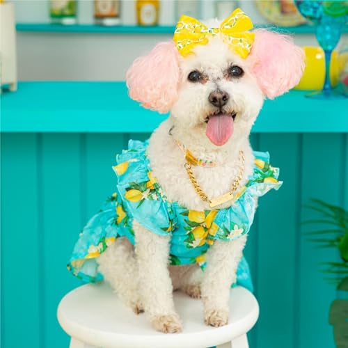 image for Fitwarm Lemon Dog Dress, Dog Clothes for Small Dogs Girl, Pet Cat Appa
