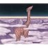 kirin(初回生産限定盤)