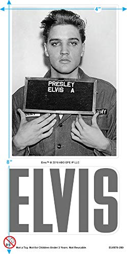 Popfunk Classic Elvis Presley Mugshot Poster T Shirt3