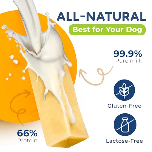 Chewster Käsestangen für Hunde - Kaukäse Hundeknochen - Langer Kauspaß aus natürlicher Milch - Käse-Kauknochen (410 g, XXL, 2er Pack)