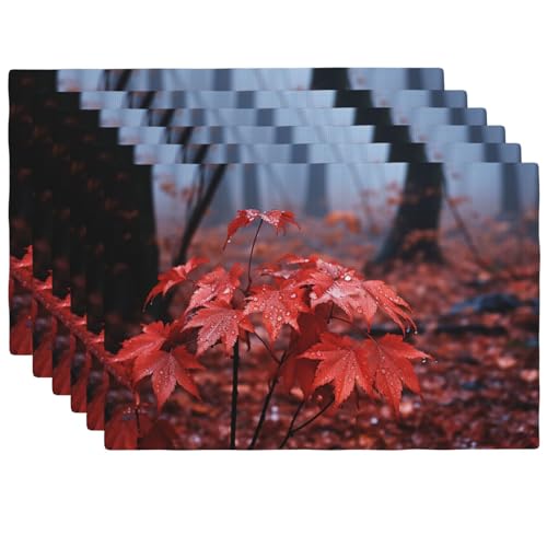 Sets de table automne en lin pour décoration de table de cuisine conviviale - 2