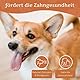 Wildfang® 1 Kauwurzel Hund (Größe S) – Natürliches Kauholz aus Baumheide – Langlebiges & splitterfreies Kauspielzeug – Zahnpflege & Beschäftigung – Alternative zu Kaffeeholz