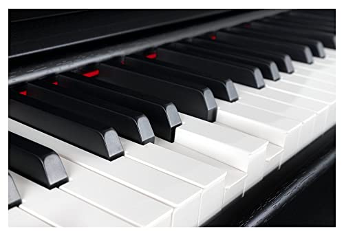 Digitalpiano Classic Cantabile DP-230 SM mit Hammermechanik und 88 Tasten