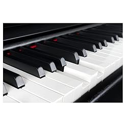 Classic Cantabile DP-230 Piano Numérique – 88 touches clavier à mécanique à marteaux – Clavier électronique avec USB… - Les Beatles, Paul McCartney, John Lennon, RIngo Starr, George Harrison Classic Cantabile DP-230 Piano Numérique - 88 touches clavier à mécanique à marteaux - Clavier électronique avec USB… – Image 3