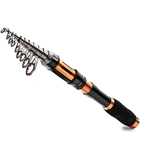 BNTTEAM Canne À Pêche Portable 99% Fiber De Carbone, Télescopique Super Dur Ultra-Léger Pôle De Pêche pour Voyage Surf Eau Douce Eau Douce Bass Bateau De Pêche (3.0M/118in/9.84ft)