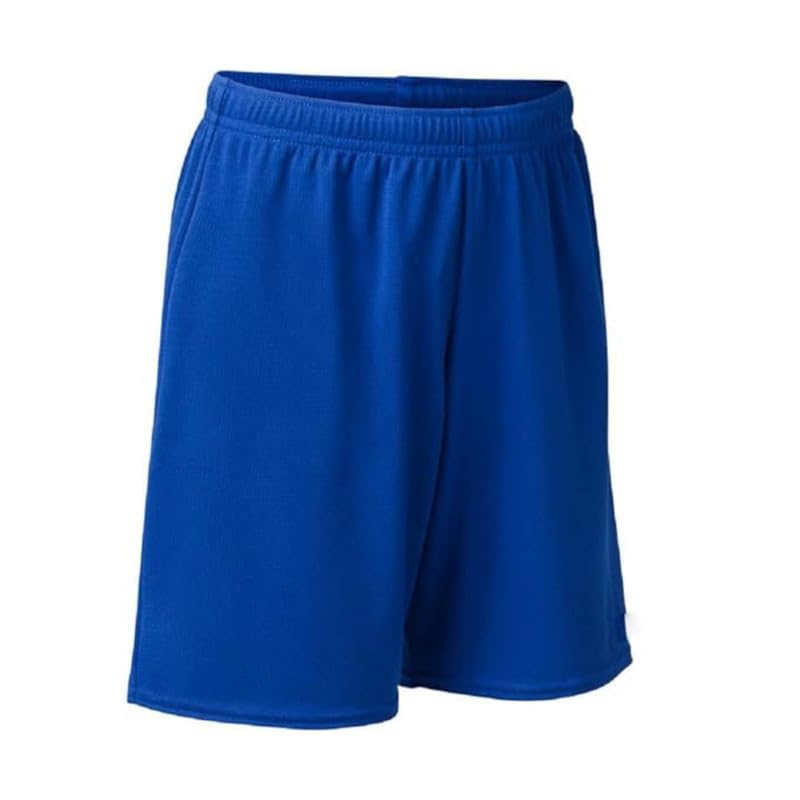 Regular Fit Shorts(Small 36) Royal Blue-image-46