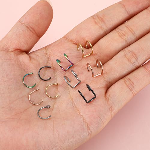 Nose Rings Hoops Double Hoop Nose Ring, 10 Pcs Fake Noses Ring Lip Rings Stainless Steel Fake Lip Piercing Clip On Ear Cuffs Non Piercing Jewelry for Women Men, 8mm2