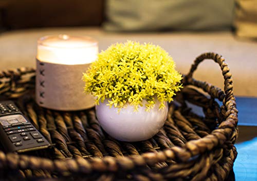 Mini Artificial Plant In White Ceramic Pot | Decorative Faux Plant For Home/Office Decor | Small Potted Topiary | Farmhouse Decor Accent | Desk/Kitchen/Bathroom/Shelf Fake Plant (Yellow) #TOP3