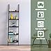 Tangkula Ladder Shelf, 5-Tier Multifunctional Modern Wood Plant Flower Book Display Shelf, Home Office Storage Rack Leaning Ladder Wall Shelf (Black, 1)