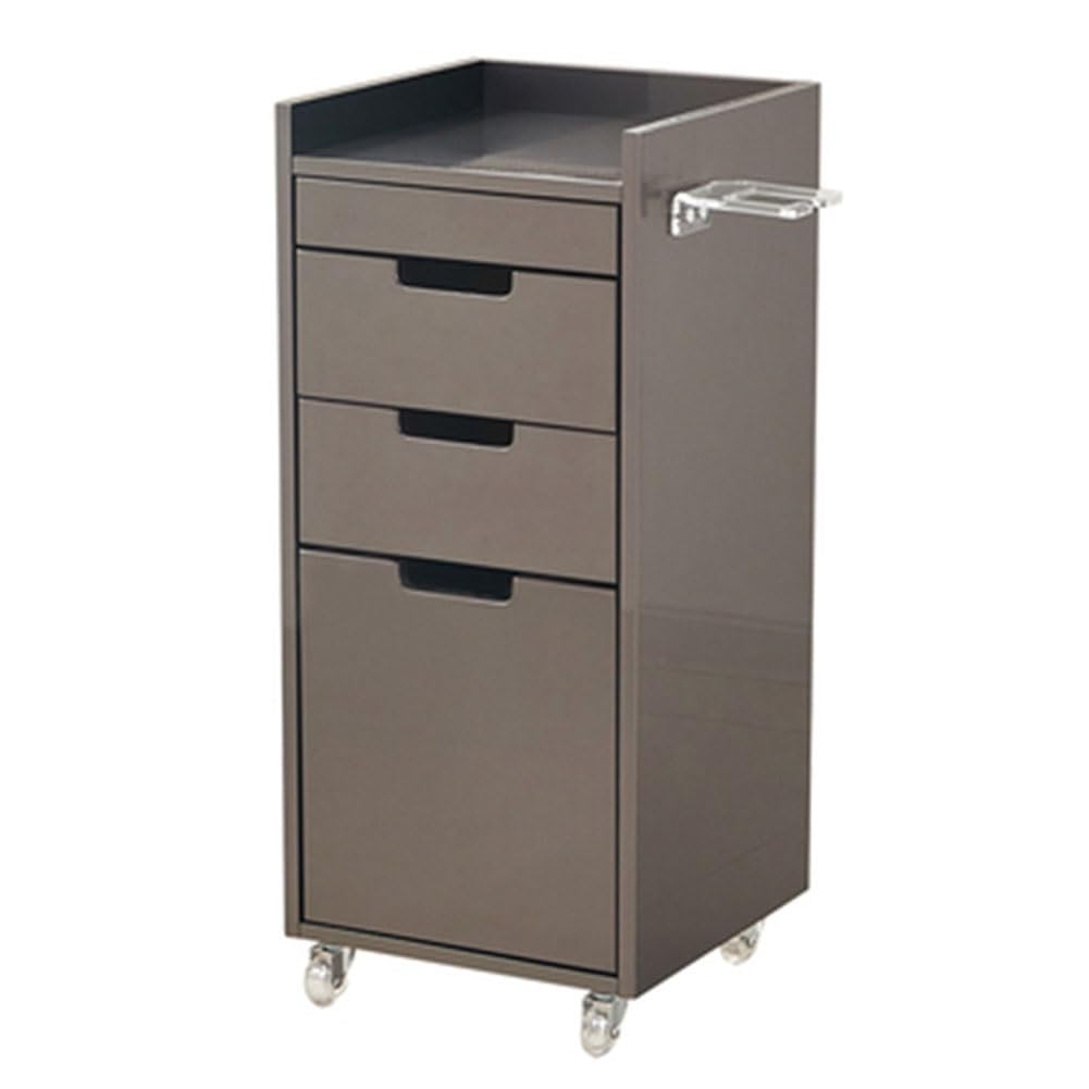 Attrezzatura da Salone per Parrucchieri, Carrello per Salone, Carrello per Parrucchieri, armadietti per Salone, con puleggia Girevole a 360 Gradi (Colore: Grigio-A, Dimensioni: 35x35x81cm)