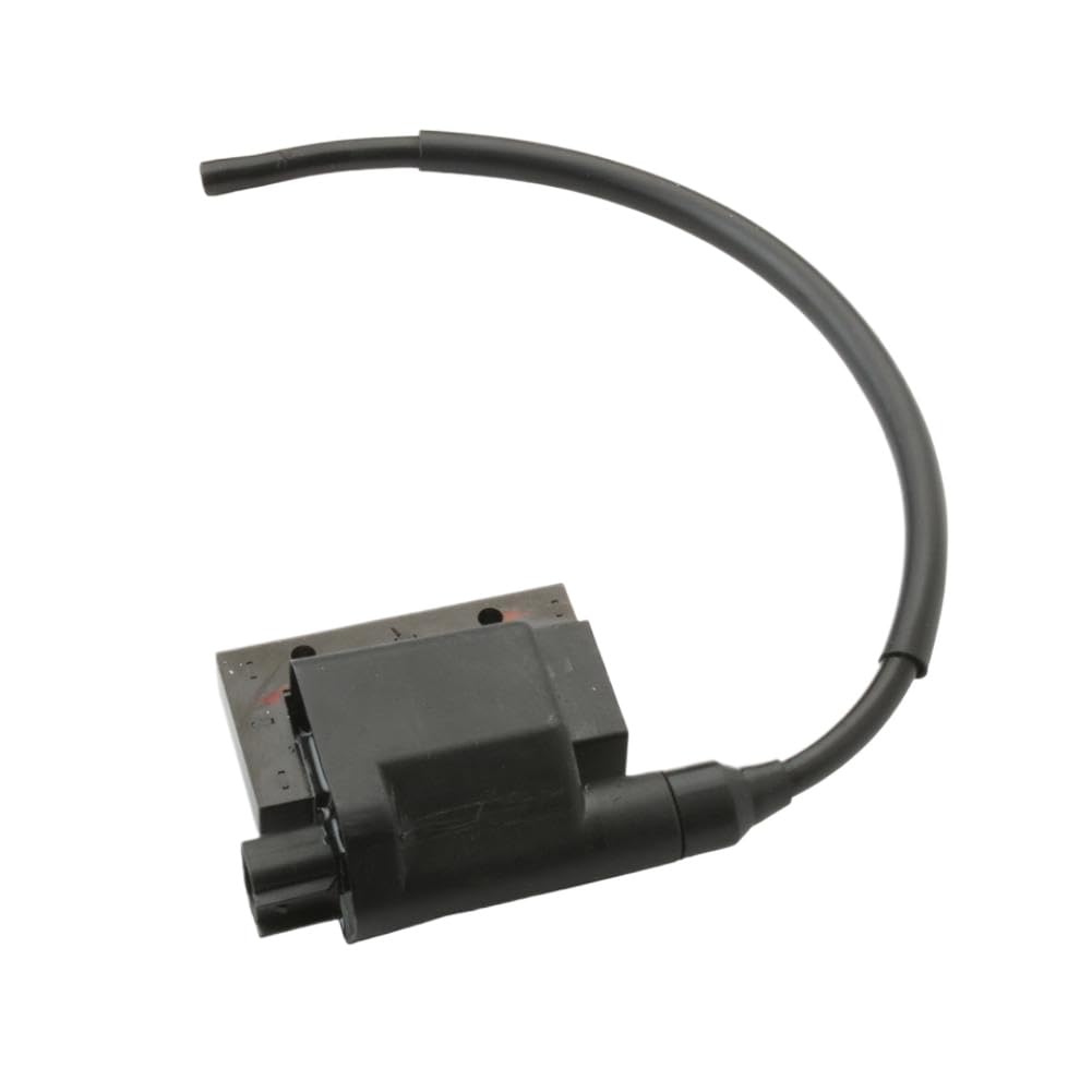 Bobina di Accensione Compatibile Con Scarabeo Ditech SR50