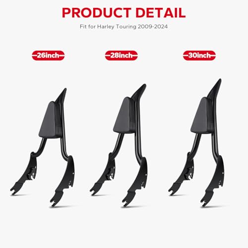 Amazicha Integrated Passenger Sissy Bar