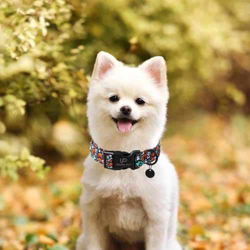 Image of Halloween Dog Collar, UP URARA PUP Cotton Skull Ghost Dog Collar for Small Dog, Fall Pet Collar with Halloween Elements Pattern, Adjustable Puppy Collar,L,Neck 16-24in