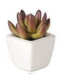  Artif-Deco – Agave planta Grasse Artificial Succulente cactee en maceta de cerámica – choisissez votre Modle: cactée 7