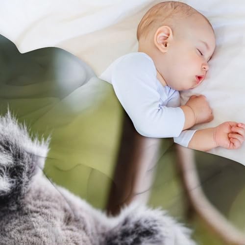 Manta de koala para sofá que transforma tu salón en un nido cálido 4