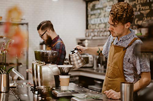 Baratza Forte Bg (Brew Grinder) Flat Steel Burr Commercial Coffee Grinder #TOP3