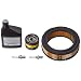 Briggs & Stratton 6036 Standby Generator Maintenance Kit, 15,000-20,000 Watt Empower Generators