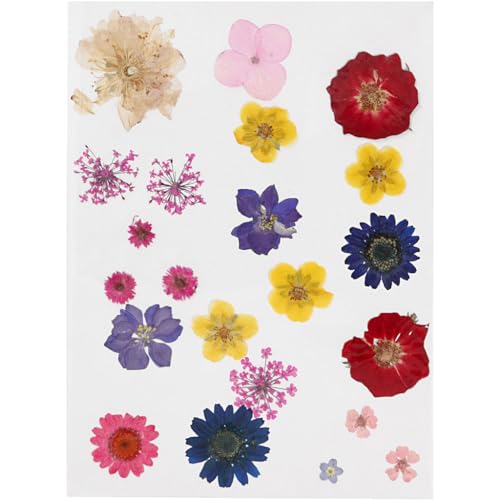 20 flores secas y prensadas multicolor Creotime miniatura 1
