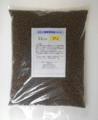 {Bybg 3.5~ 2LpbN JZ CJ_ނ Tp Cނx Wybg