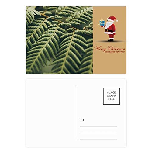 Cartes postales motif feuilles de plante et Père Noël papeterie vœux