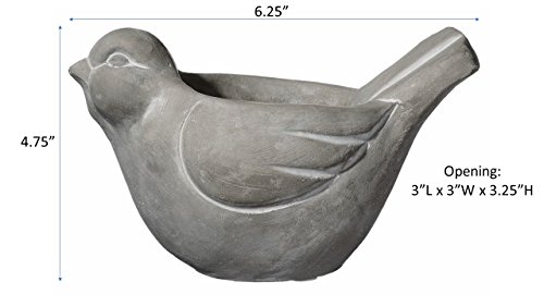 Classic Home and Garden Cement Buddies Animal Planter - Cute Desk Decoration - UV Coated Animal Vase w/Removable Drain Plug - Succulent Planter for Indoor/Outdoor Use (Bird Planter, Natural, Small)