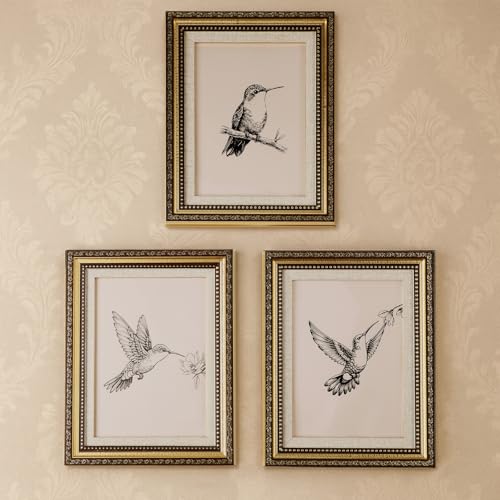 Fiwochic 3 Pcs Hummingbird Vintage Gold Framed Bird Sketch Painting