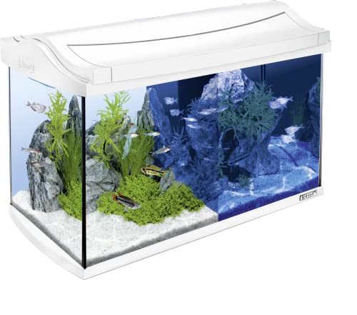 Tetra Set completo de acuario LED AquaArt de 60 litros, incluye iluminación LED, interruptor de luz diurna y nocturna, filtro interno EasyCrystal y calentador de acuario, color: blanco