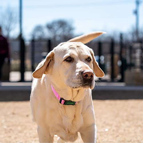 Luckydc Martingale Collar For Training Dogs. Adjustable Reflective Dog Collars With Buckle- No Pull-Prevents Slipping Out, For Medium Large Xl Dogs. Helps With Strong Pullers (M, Pink) #TOP3