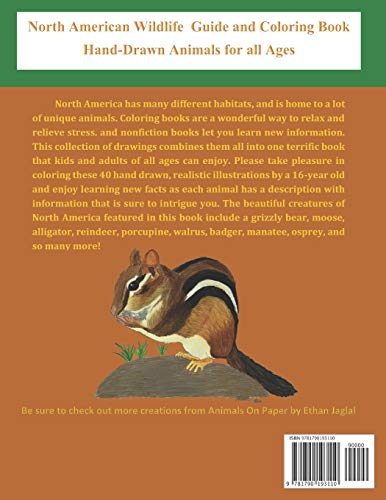 North American Wildlife Guide and Coloring Book: Hand-drawn Animals for all Ages (Wildlife Coloring Books Hand-Drawn Animals for all Ages) - Image 2