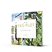 My Tiny Veg Plot: Big ideas for small spaces