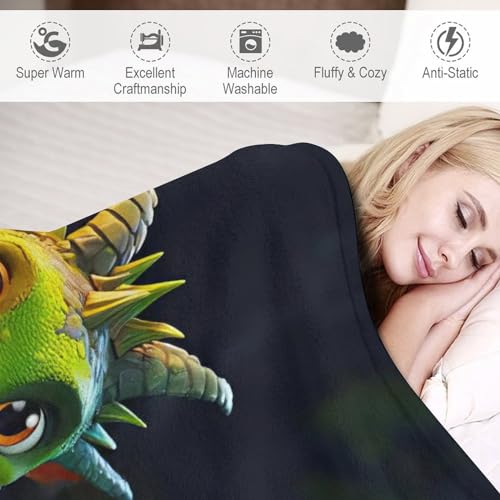 Couverture de lit flannel dragon rides résistantes et chaude toutes saisons