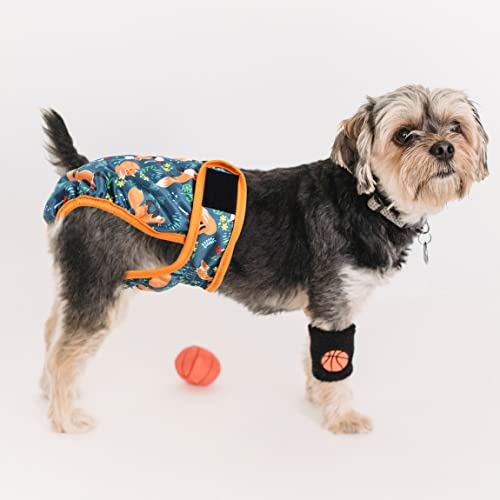 Image of Washable Dog Diapers (3 Pack), Reusable Dog Diapers for Doggie Heat Period, Reusable Doggie Diaper for Female Dogs (Giraffe, Tucan, Fox, Large)