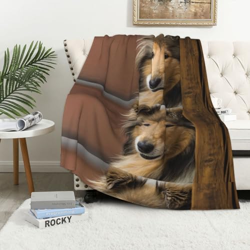 Cotton Market Bettwäsche - Bettwäsche Baumwoll-Mikrofaser - Bettwäsche-Sets 2 Teilig - Bettbezug 135x200 cm und Kissenbezug 70x80 cm - Schafe, Orange