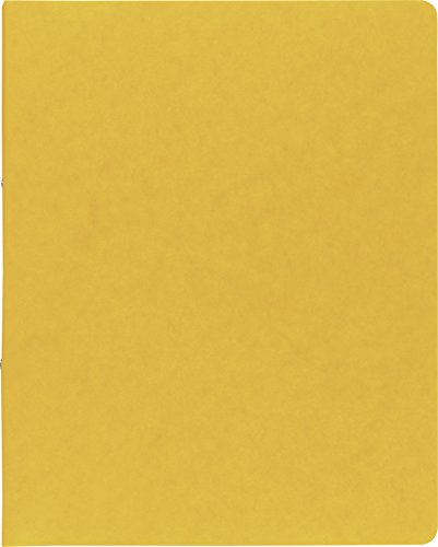 BRUNNEN Ringbuch A4 FACT!plus 2R 15mm gelb