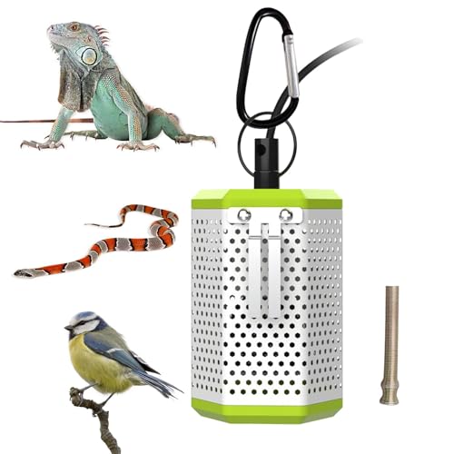 Protection de chauffage pour reptiles anti-brûlure pour terrarium