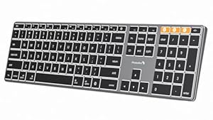 ProtoArc Beleuchtete Kabellose Tastatur für Mac, K110-A Aluminium-Bluetooth-Tastatur Full-Size, Mehrere Geräte, Flach, Wiederaufladbar, Funktastatur für MacBook Pro/Air, Mac mini, iPad