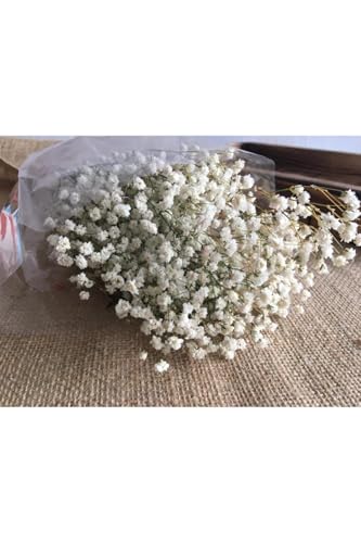 Ramo de Flores Secas Gypsophila Blanco miniatura 3