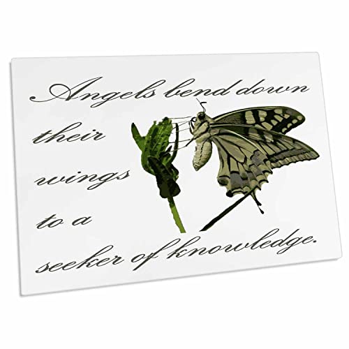 3dRose Angels Bend Down Their Wings to A Seeker of Knowledge miniatura 1